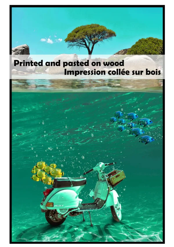 Acqua scooter from Corsica